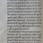 p. 28.JPG