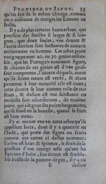 p. 55.JPG
