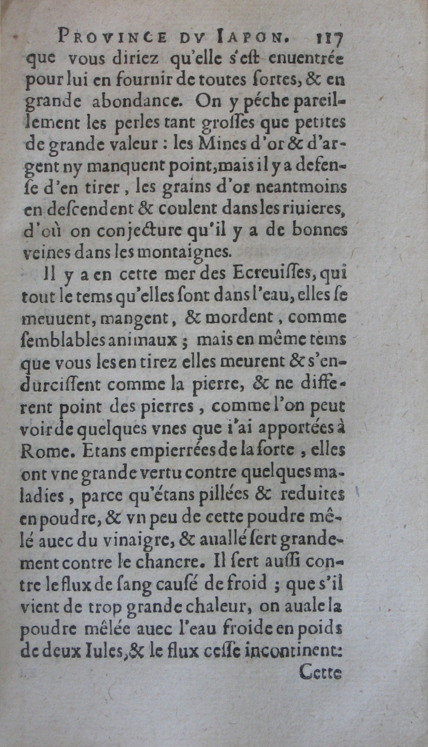 p. 117.JPG