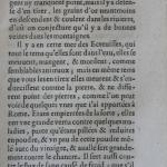 p. 117.JPG
