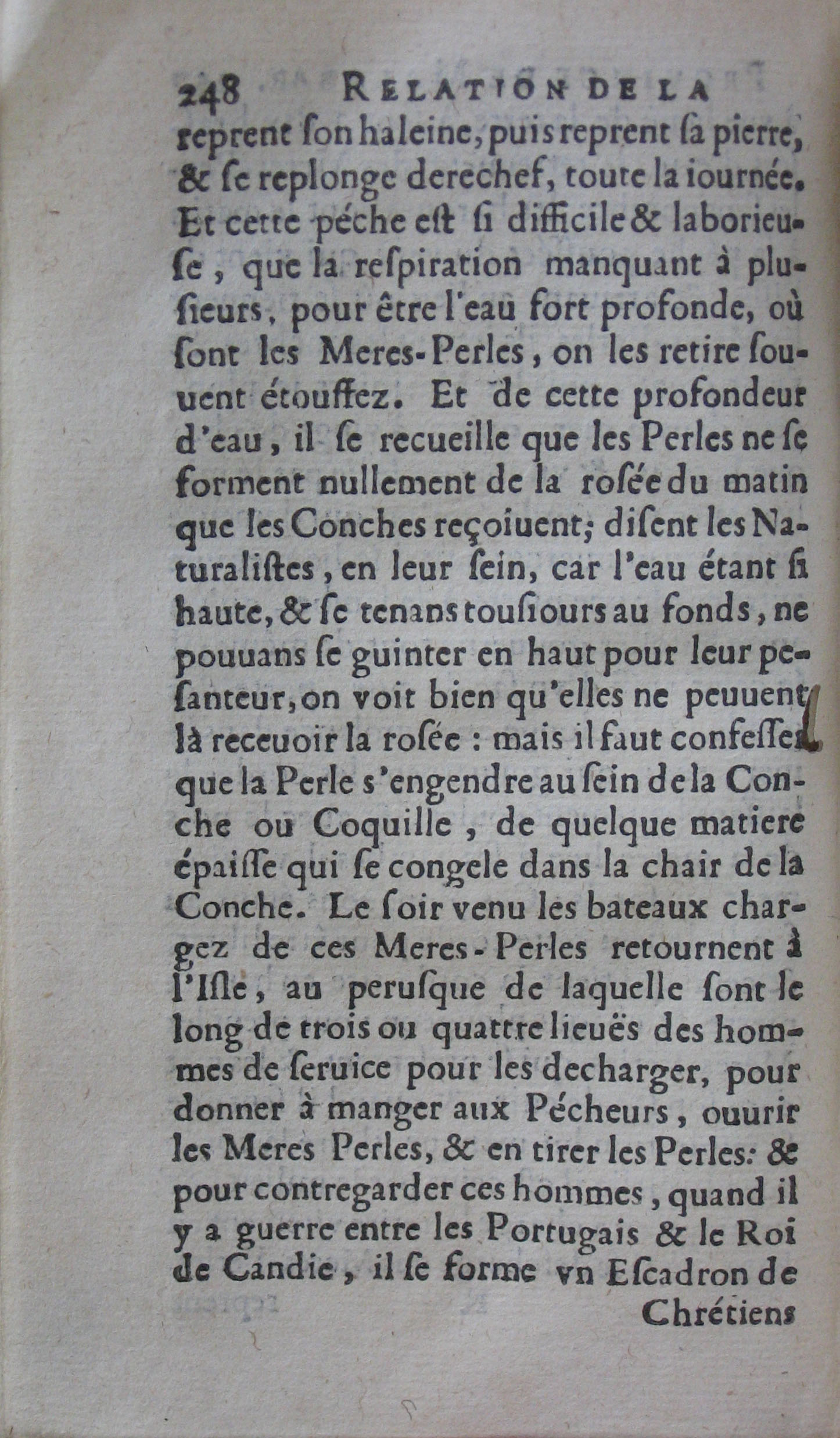 p. 248.JPG