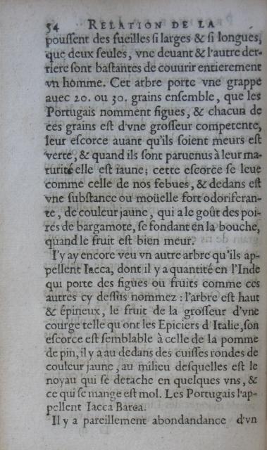 p. 54.JPG