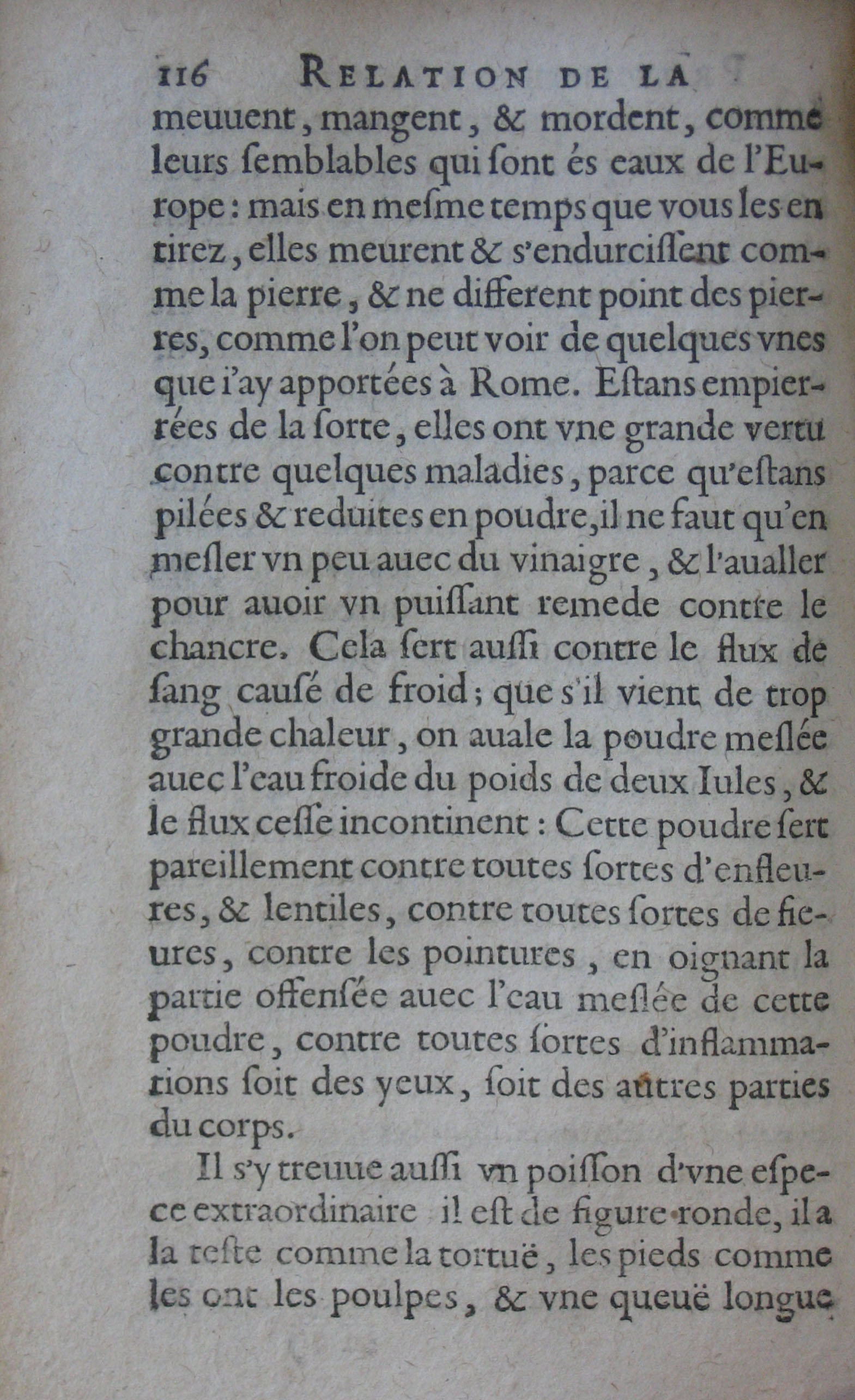 p. 116.JPG