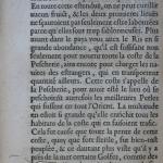 p. 244.JPG
