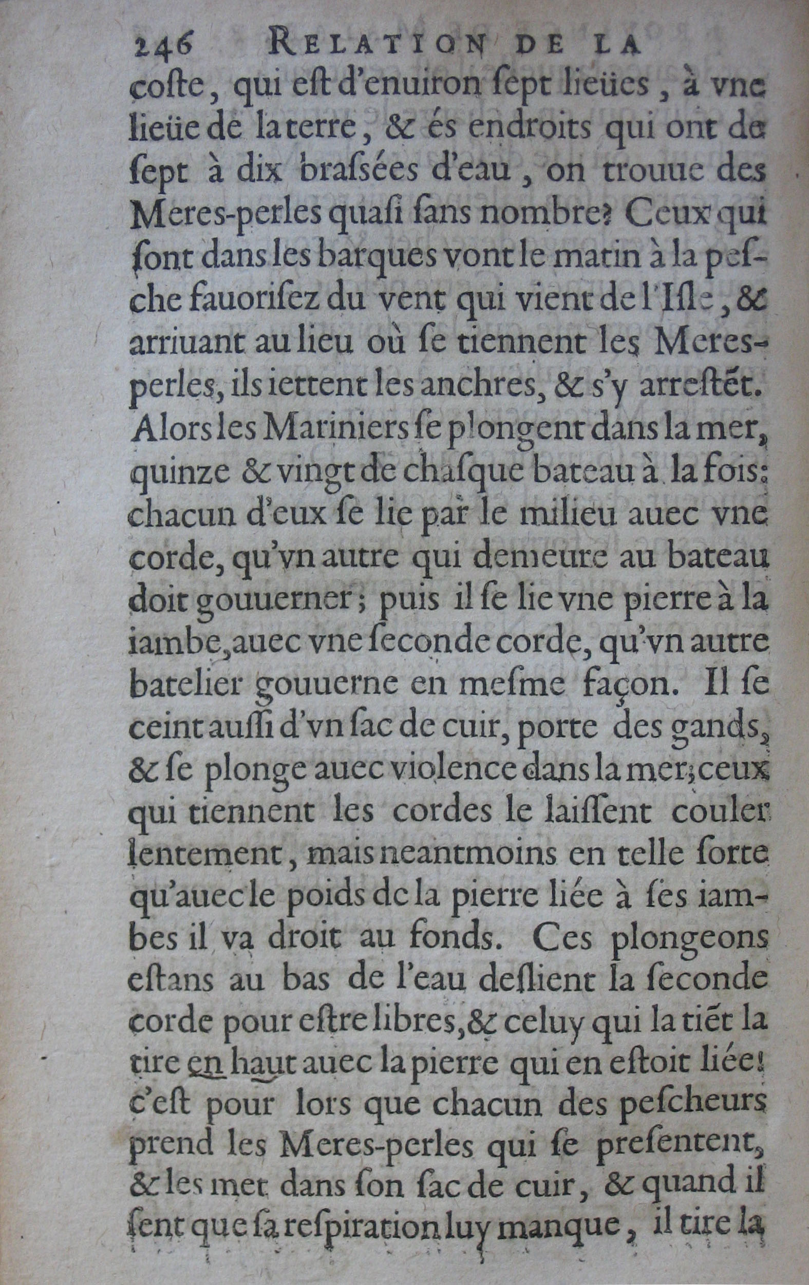 p. 246.JPG