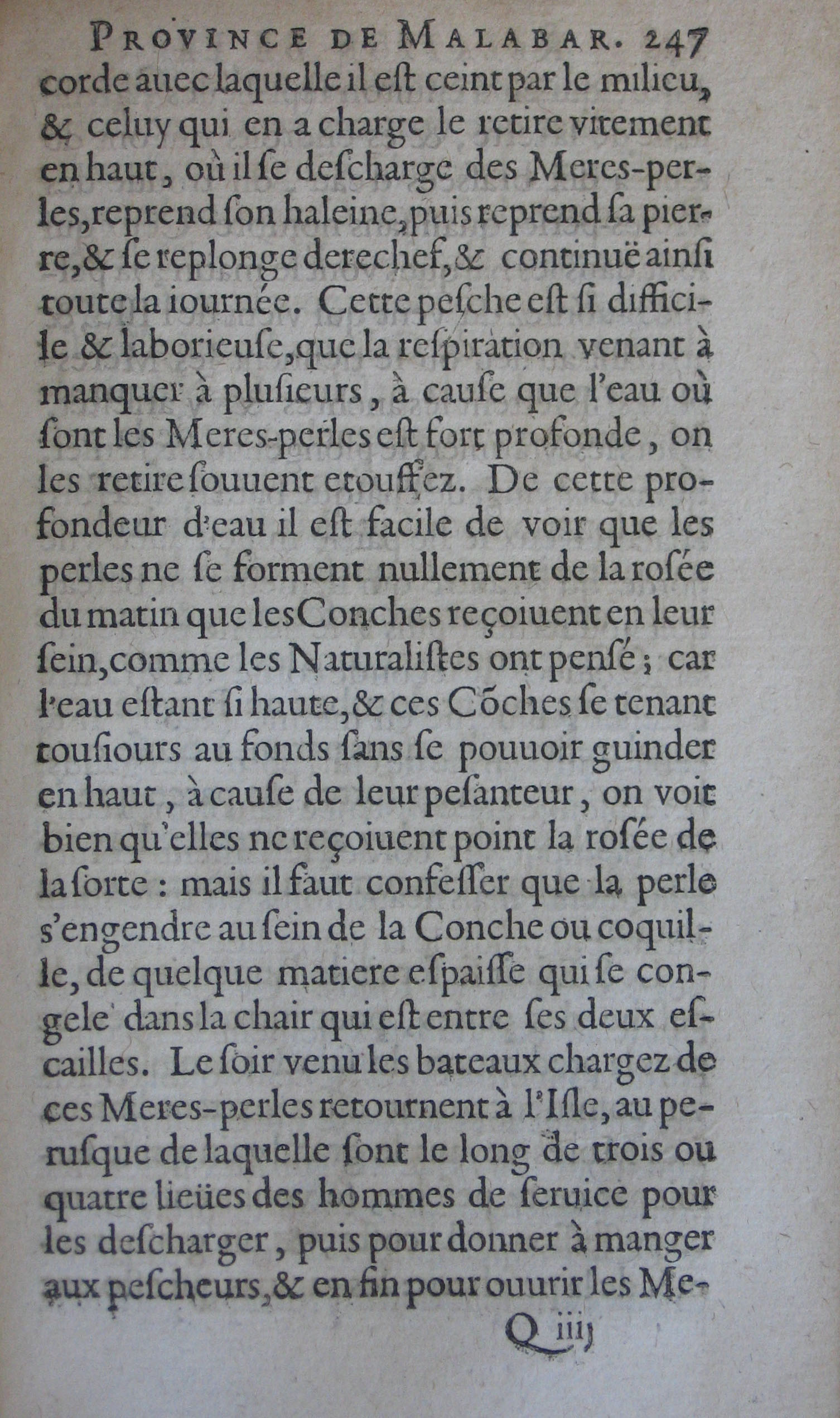 p. 247.JPG