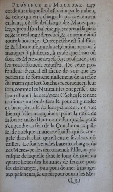 p. 247.JPG