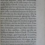 p. 235.JPG