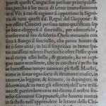 p. 5.JPG