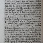 p. 22.JPG