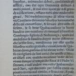 p. 144.JPG