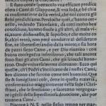 p. 37.JPG