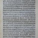 p. 62.JPG