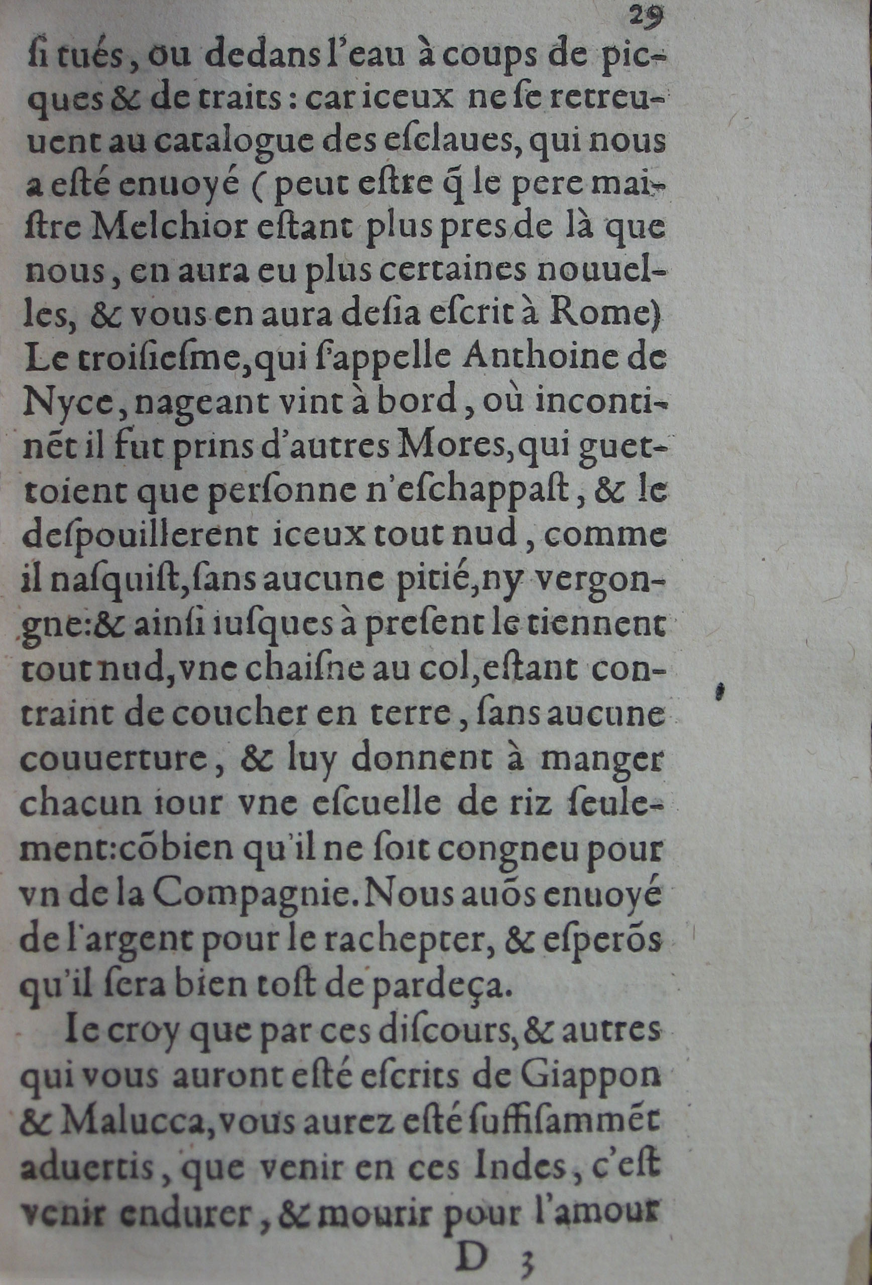 p. 29.JPG