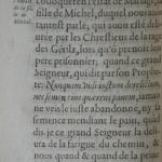 p. 106.JPG