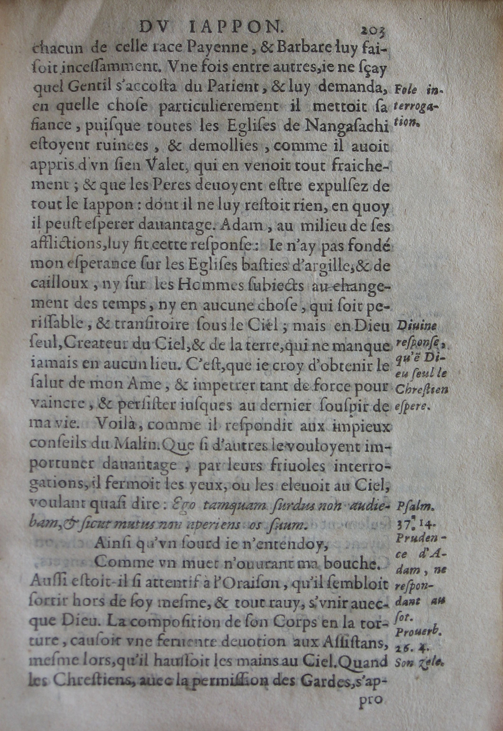 p. 203.JPG