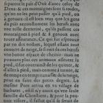 p. 151.JPG