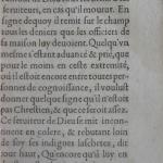 p. 19.JPG