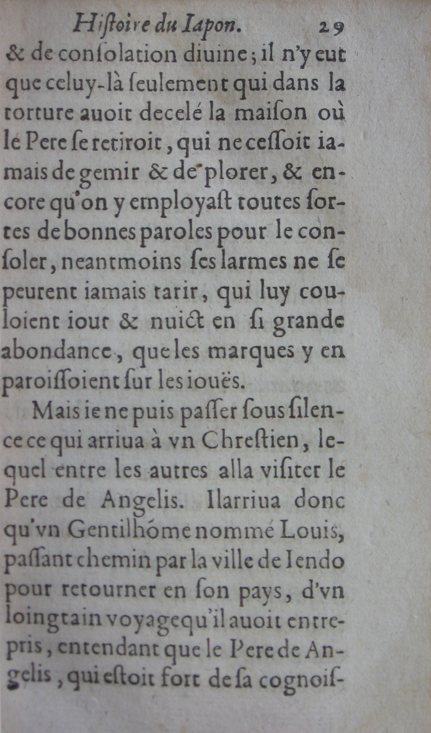 p. 29.JPG