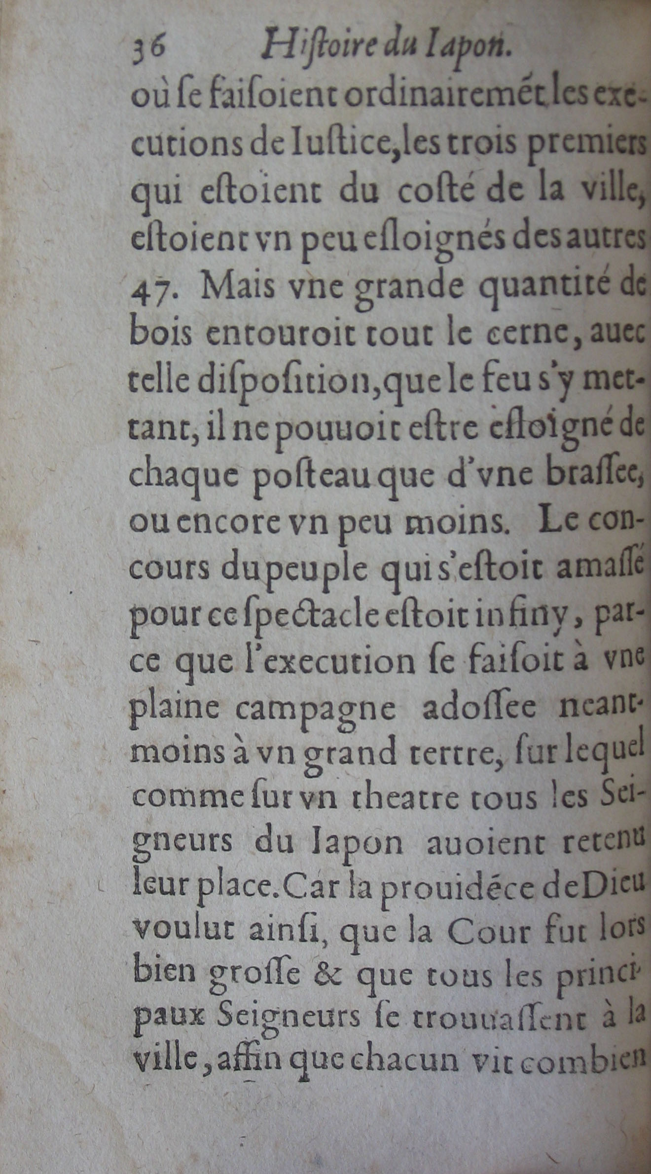 p. 36.JPG