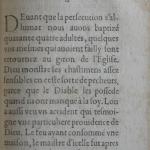 p. 311.JPG