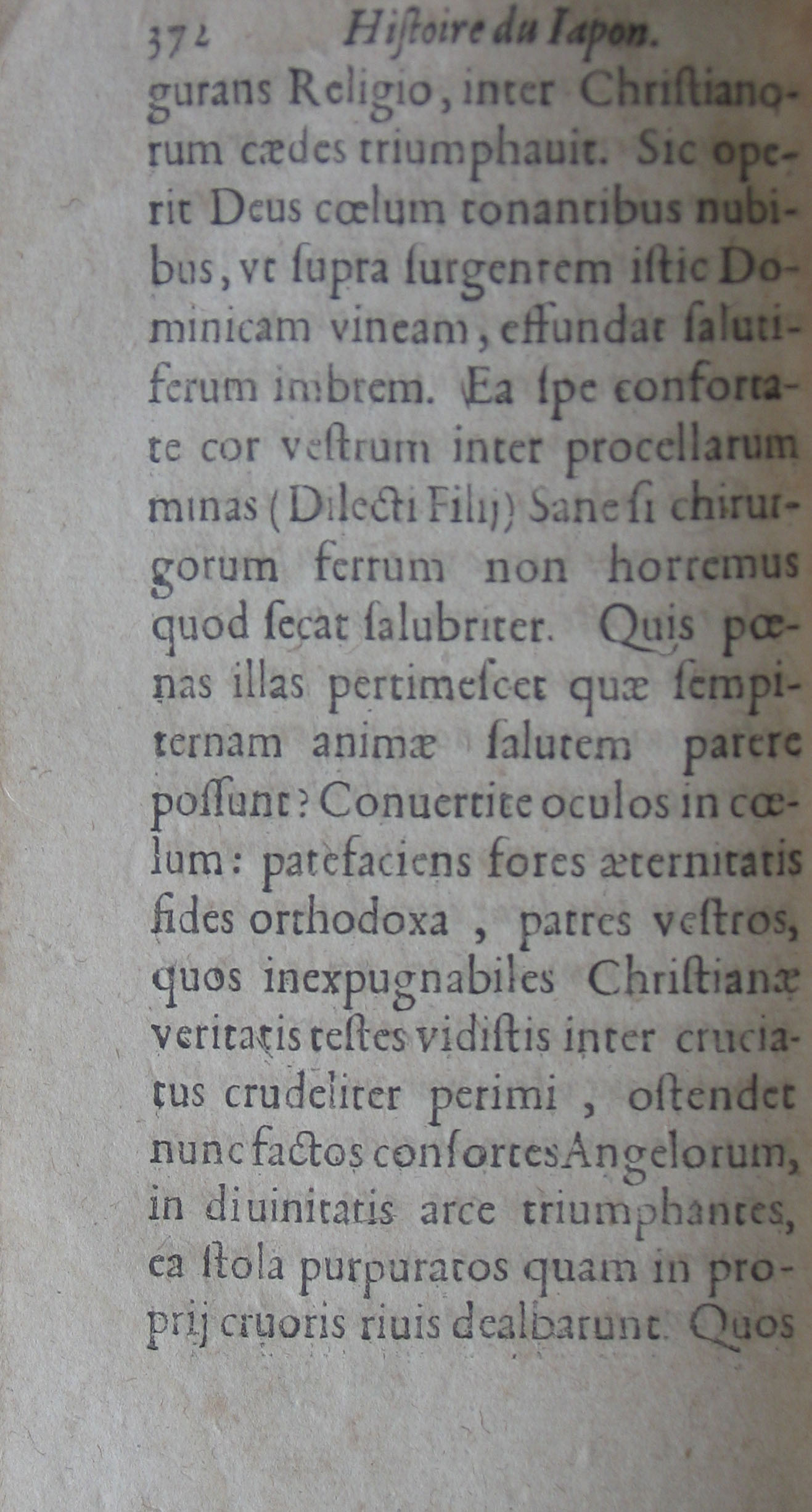 p. 372.JPG