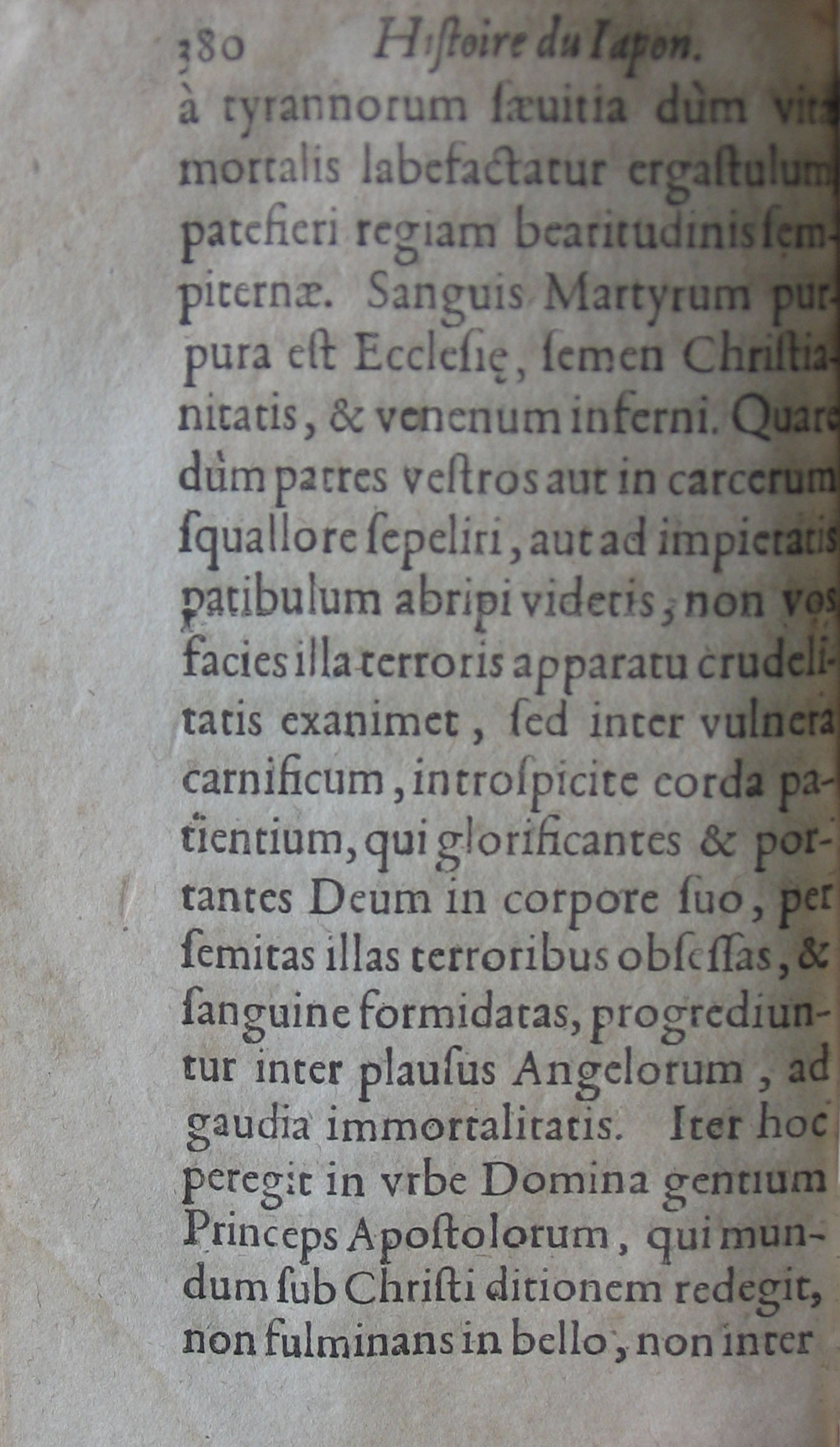 p. 380.JPG