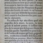 p. 20.JPG