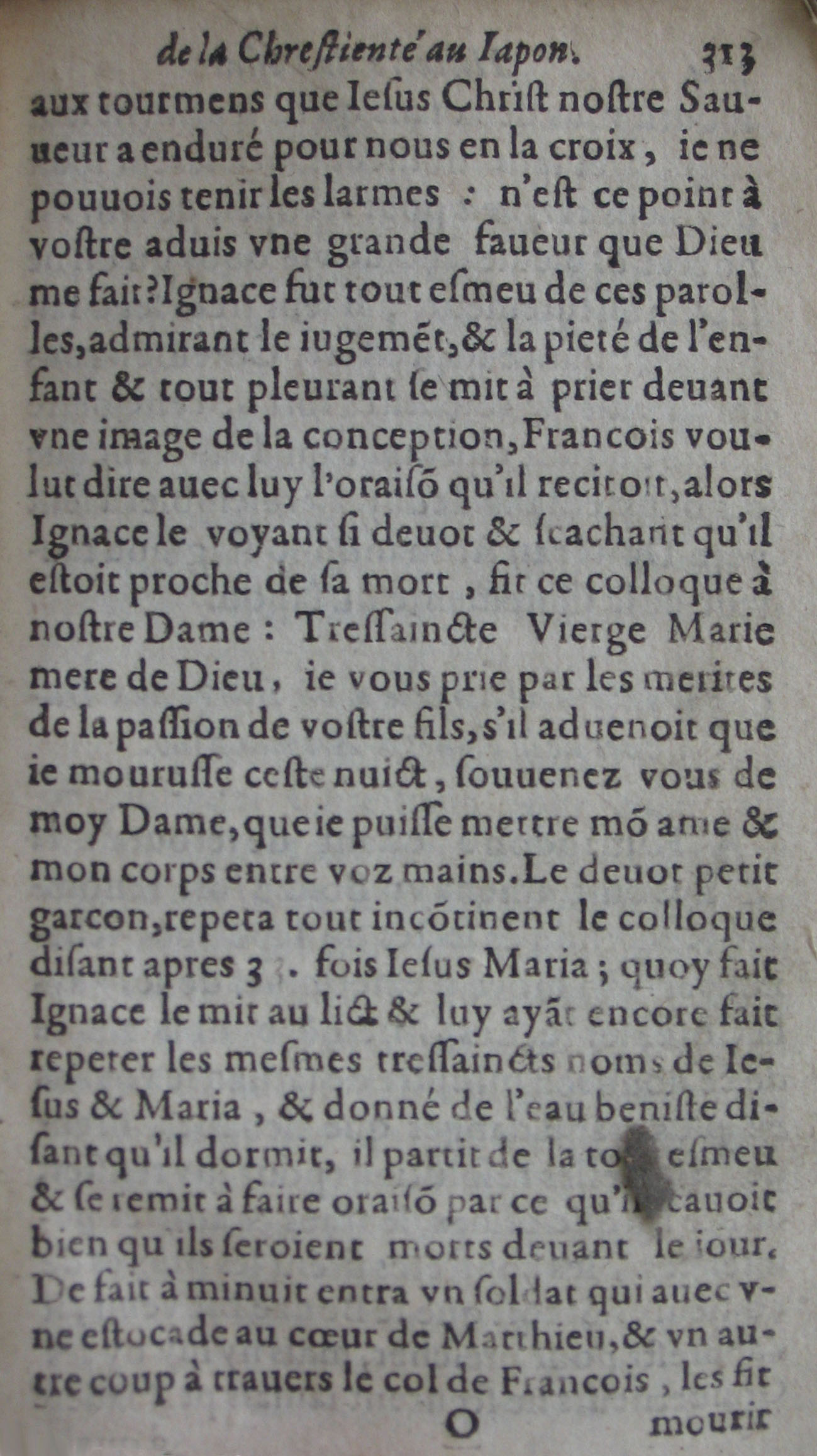 p. 313.JPG
