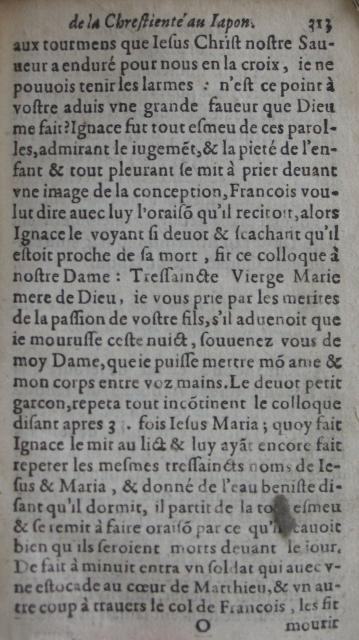 p. 313.JPG