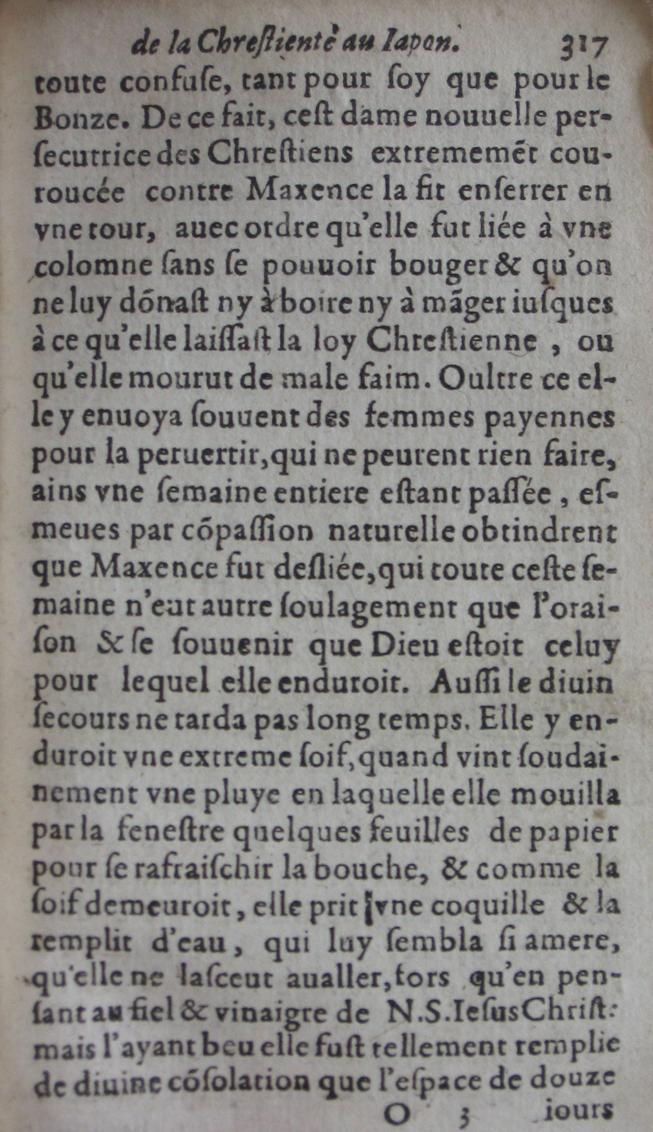p. 317.JPG