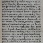 p. 317.JPG