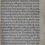 p. 335.JPG