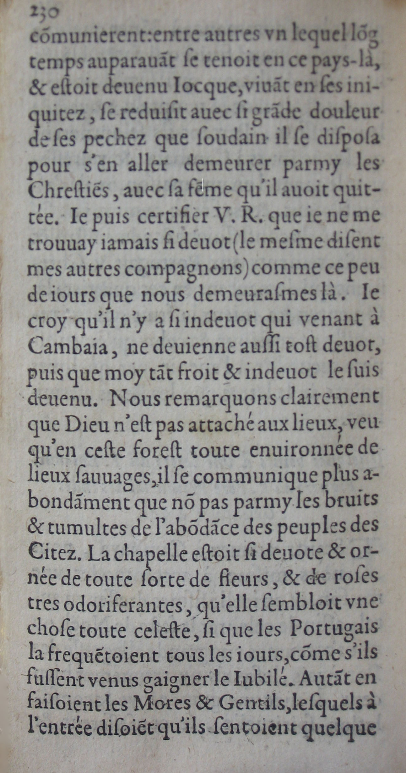 p. 230.JPG