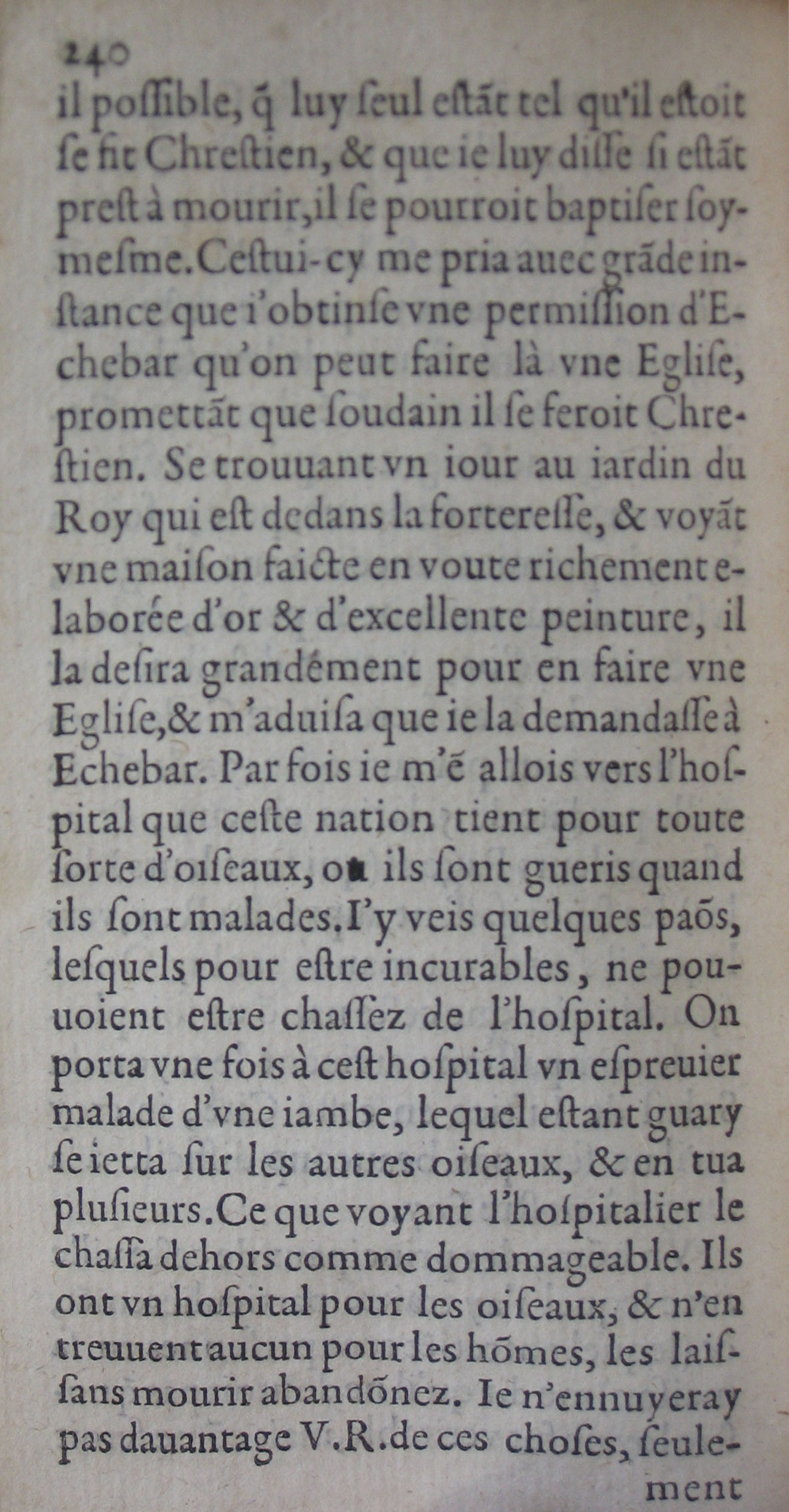 p. 240.JPG