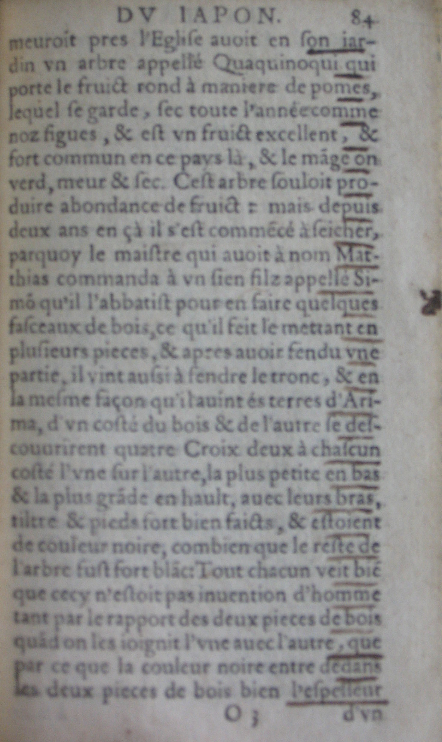 fl. 84a.JPG