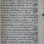 fl. 84a.JPG