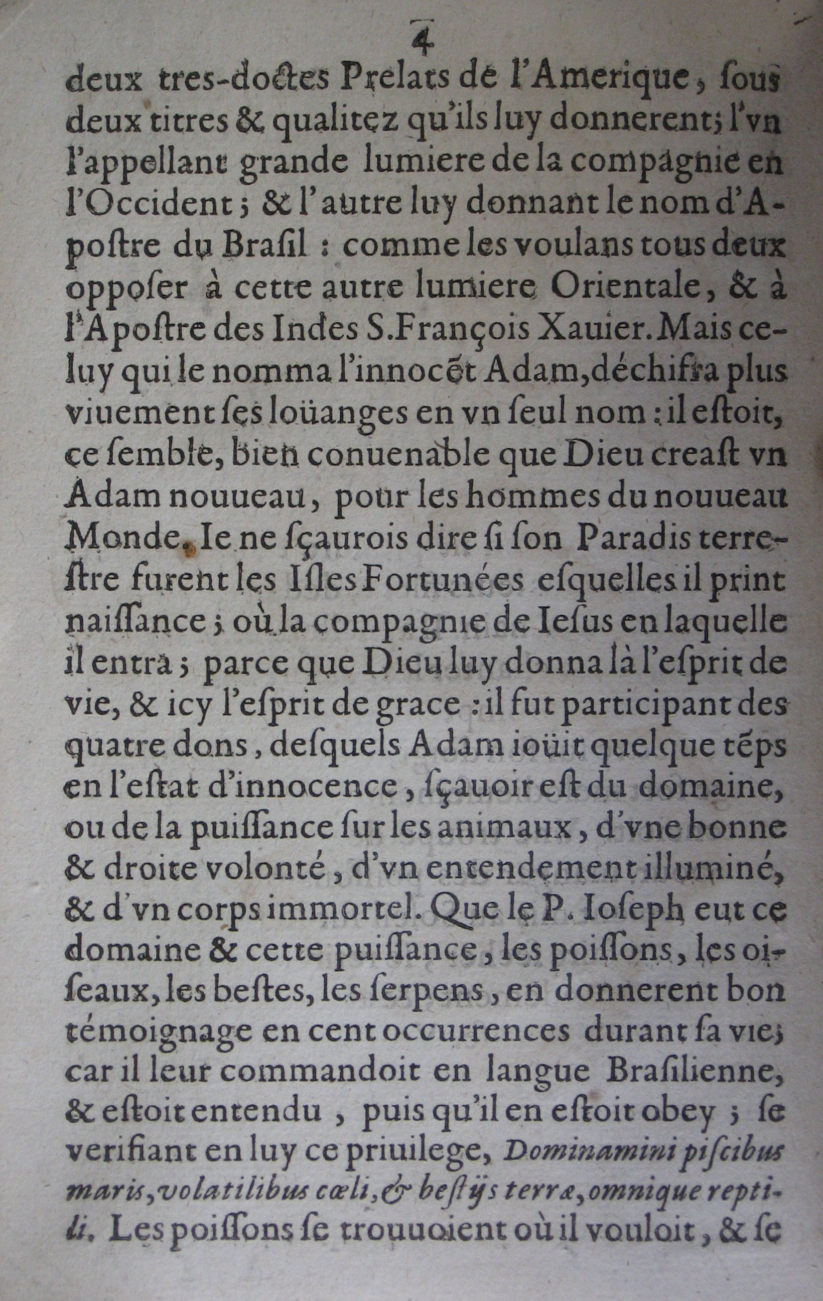 p. 4.JPG