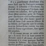 p. 56.JPG